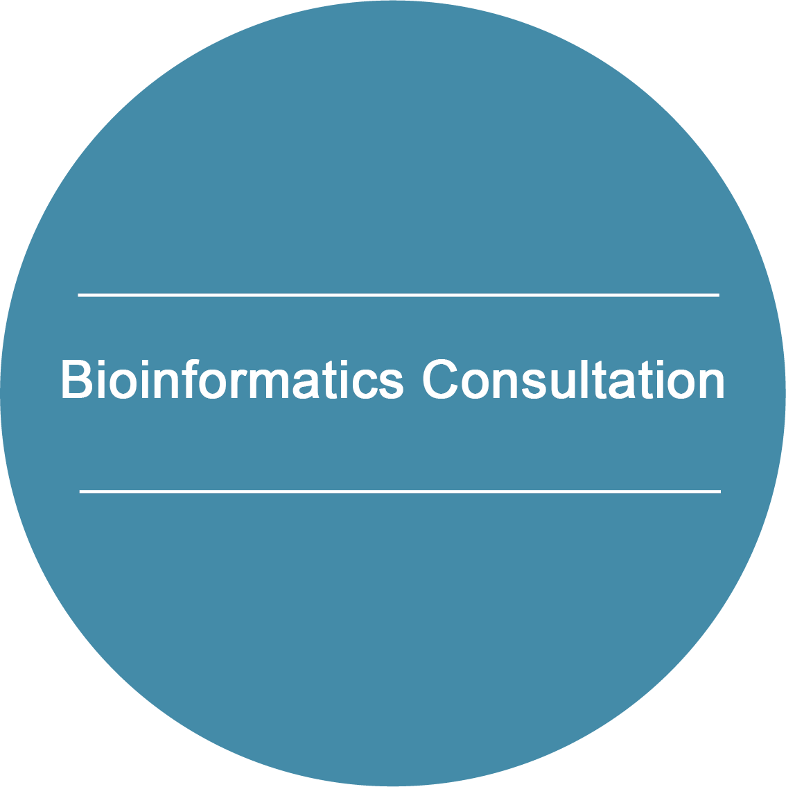 Bioinformatics Consultation